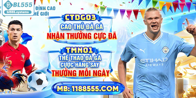 BL555 Là Gì? Tổng Quan Nền Tảng Giải Trí Trực Tuyến Hấp Dẫn - jerafu.biz