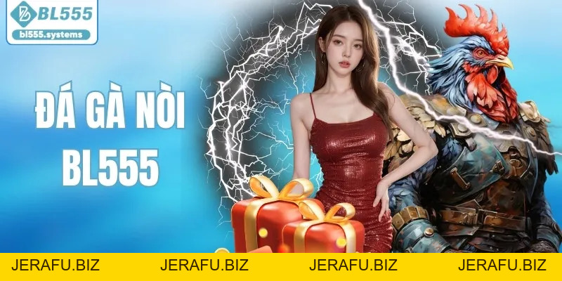 Đá Gà Nòi - Nét Văn Hóa Dân Gian Và Sức Hút Bền Bỉ - jerafu.biz