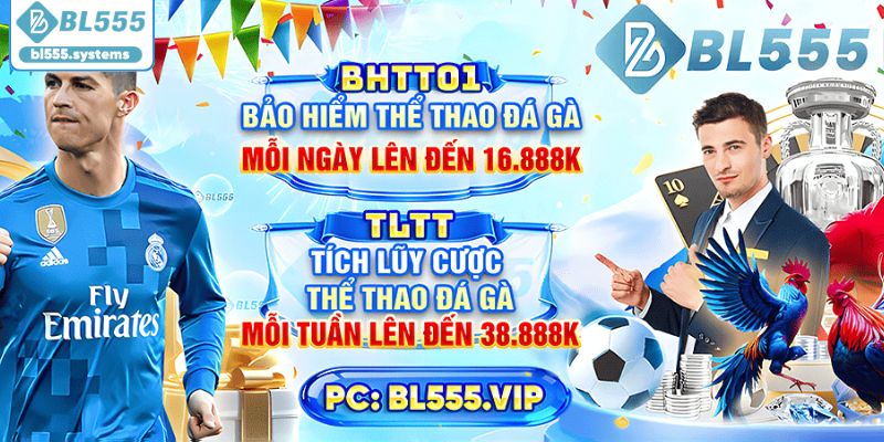 BL555 Là Gì? Tổng Quan Nền Tảng Giải Trí Trực Tuyến Hấp Dẫn - jerafu.biz